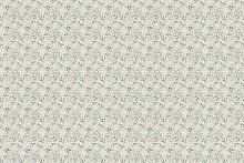 Factura ERBA ROSA ERBA ROSA 4