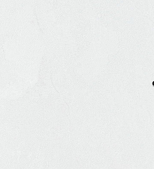 Bernardo Bartalucci Gaga  84284-19