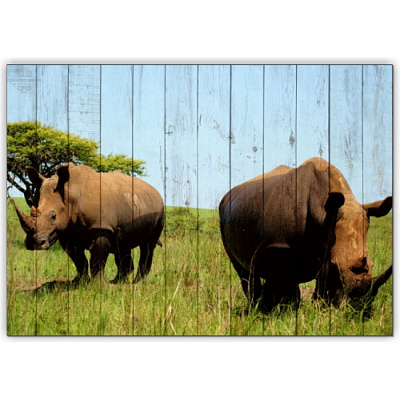 Картины Африка - Носороги, Африка, Creative Wood